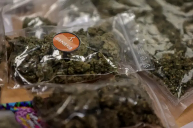 Deux Allemands condamnés pour trafic de 94 kg de cannabis