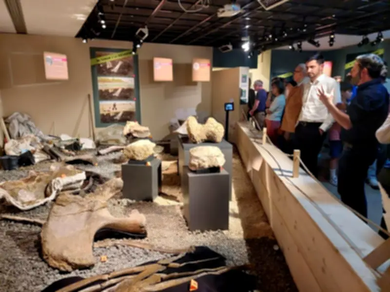 Dinosaures et fossiles inédits au Musée d'Angoulême jusqu'en 2027