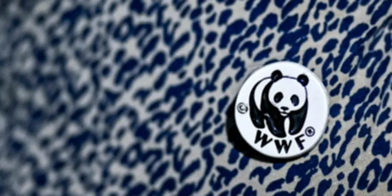 Démission de la présidente du WWF : les Juifs français au cœur d'une crise interne
