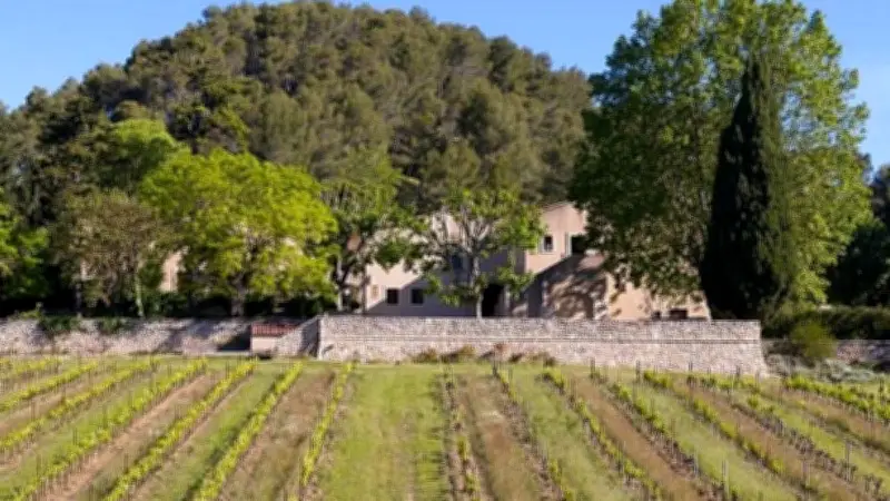Domaine Maspiquet : soirée dégustation et convivialité le 29 mai