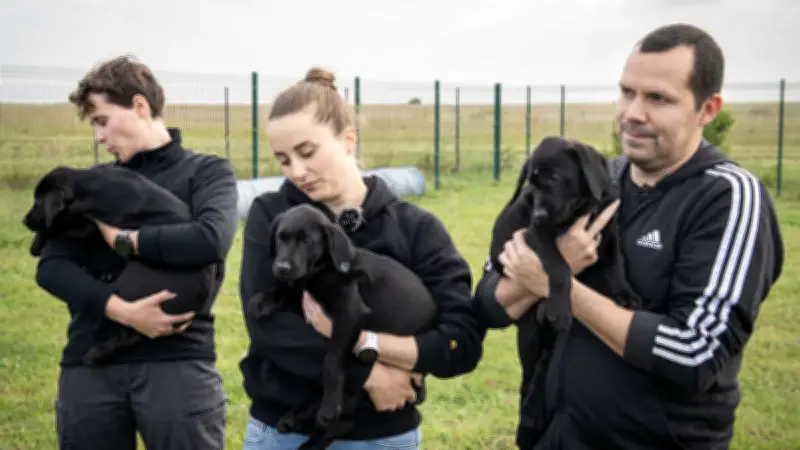 Douane : des chiots choisissent leur maître lors d'une cérémonie unique à La Rochelle