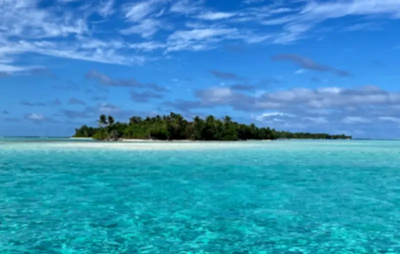 Drame à Rangiroa : un touriste allemand perd une jambe lors d'une sortie de plongée