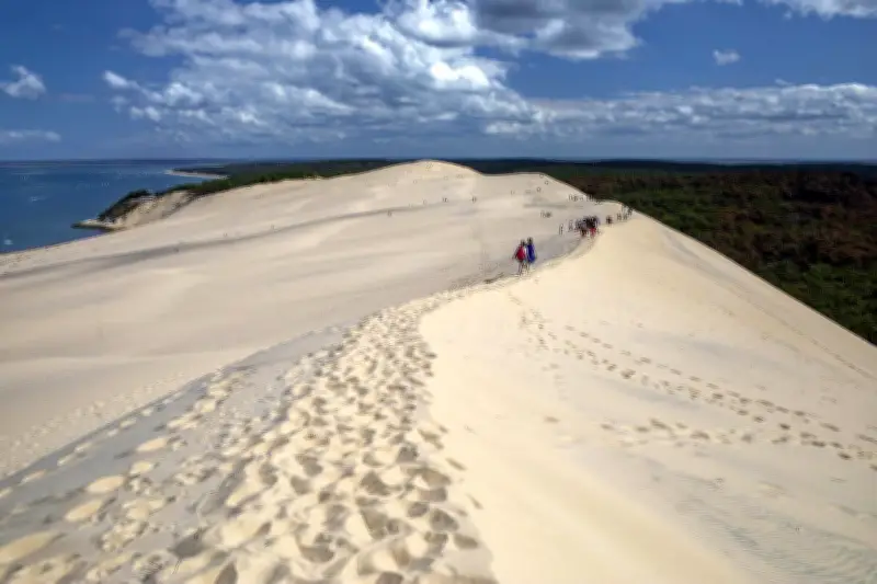 Dune du Pilat : des terrains expropriés à 2 euros le m²