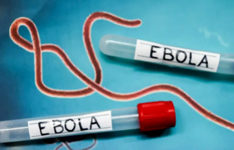 Ebola : les États-Unis renforcent les contrôles sanitaires aux frontières