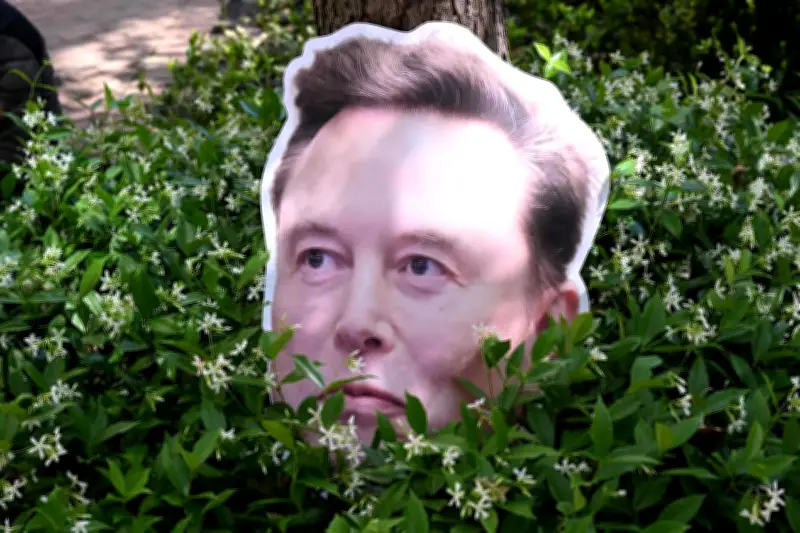 Elon Musk injurie des magistrats français avec des propos homophobes