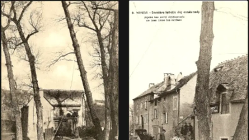 En 1911, à Mende, l'abattage des arbres de l'allée des Soupirs