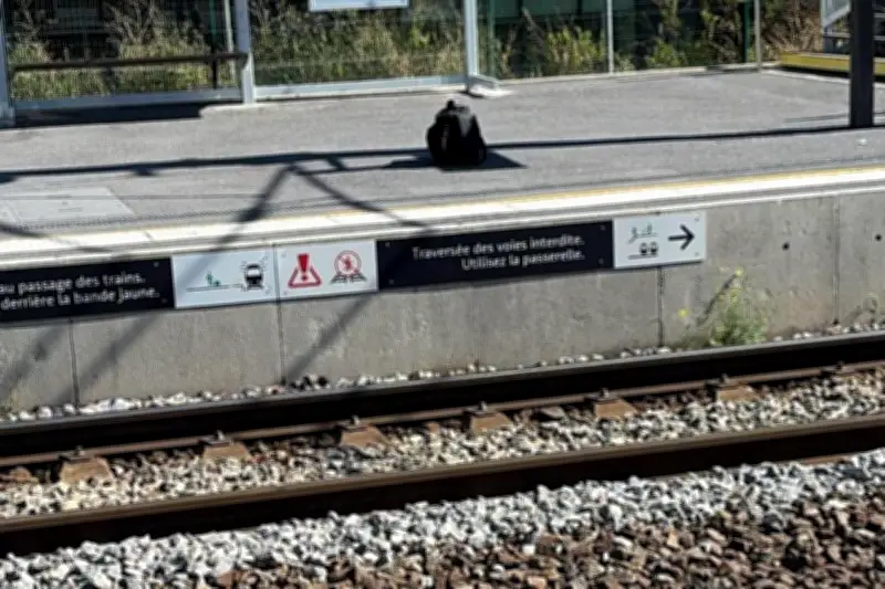 Explosion à Nice : un bagage abandonné déminé en gare Saint-Augustin