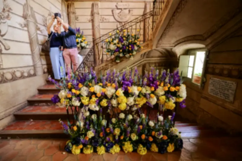 ExpoRose à Grasse : dernière journée pour découvrir la féérie florale ce dimanche