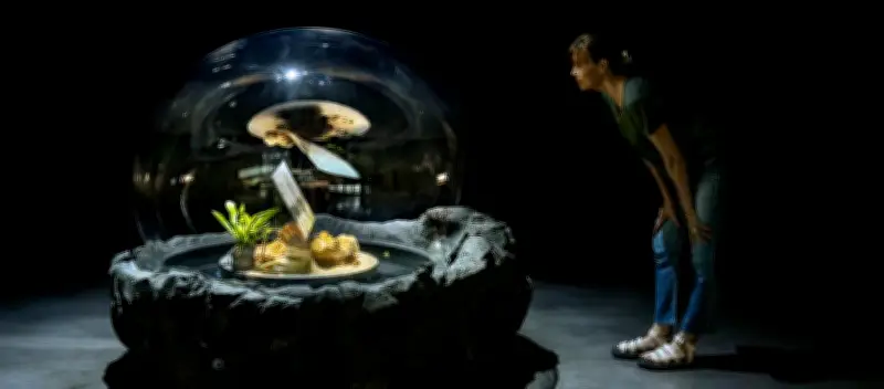 Expos à Bordeaux : arts visuels, nature, architecture et IA