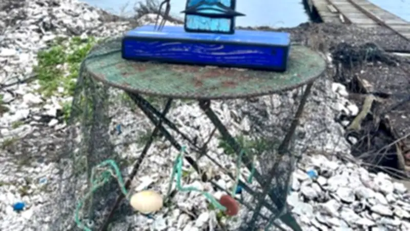 Exposition d'art brut à la médiathèque de Mèze : des déchets ostréicoles en œuvres