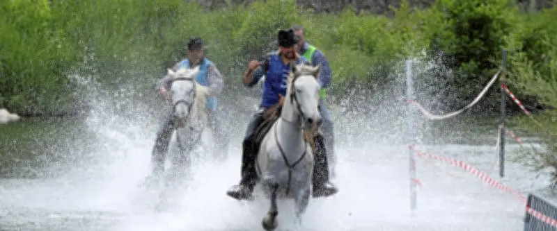 Feria d'Alès : Cédric Vidal remporte la Course gardonnenque pour la sixième fois