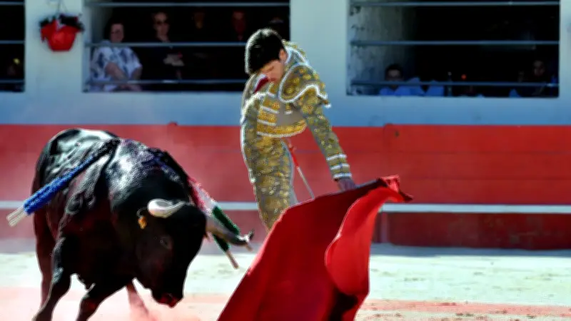 Feria d'Alès : corridas, paquito et animations festives au programme du 16 mai