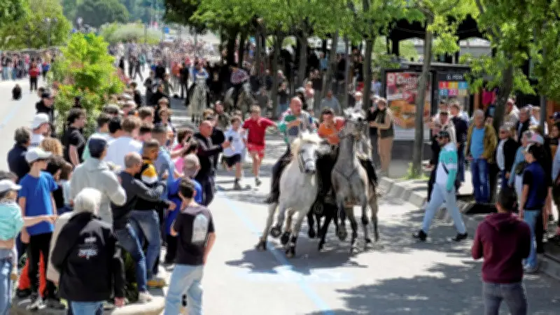 Feria d'Alès : le public répond à l'appel des manadiers et attrapaïres