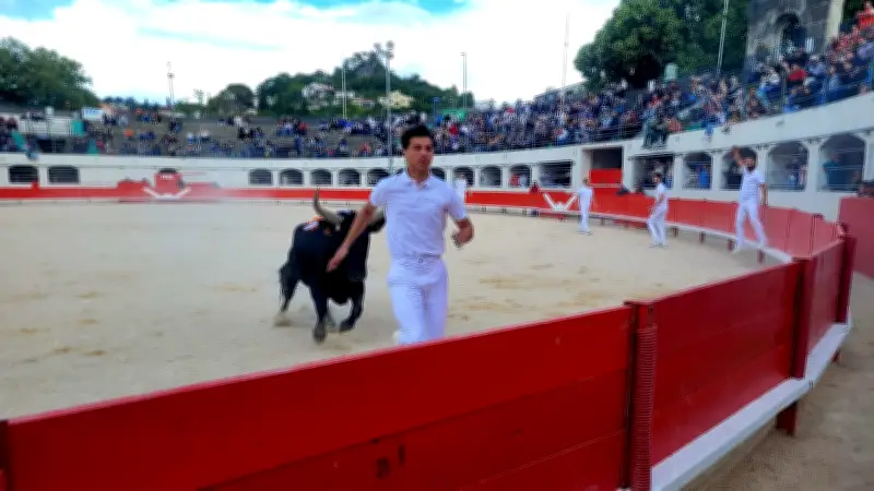 Feria d'Alès : le Trophée de l'Avenir séduit 900 spectateurs au Tempéras