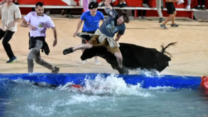 Feria d'Alès : messe sévillane, toro piscine et Peña Del Fuego ce dimanche