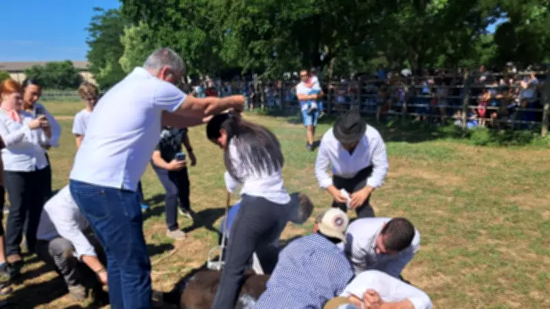 Feria de Caissargues : remise des clés et traditions camarguaises