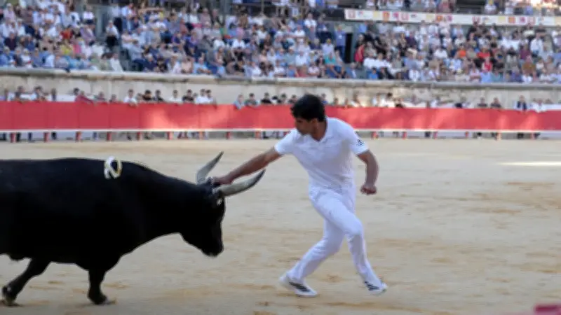 Feria de Nîmes 2026 : Cadenas éblouit, Merlot ovationné