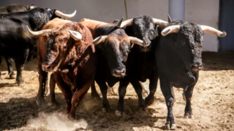 Feria de Nîmes 2026 : El Juli présente son élevage El Freixo avec un cartel de luxe