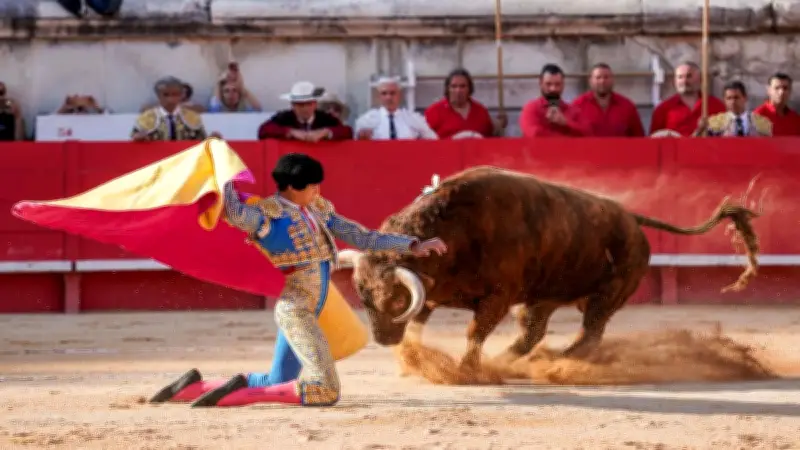 Feria de Nîmes 2026 : jeunesse et maturité brillent aux arènes