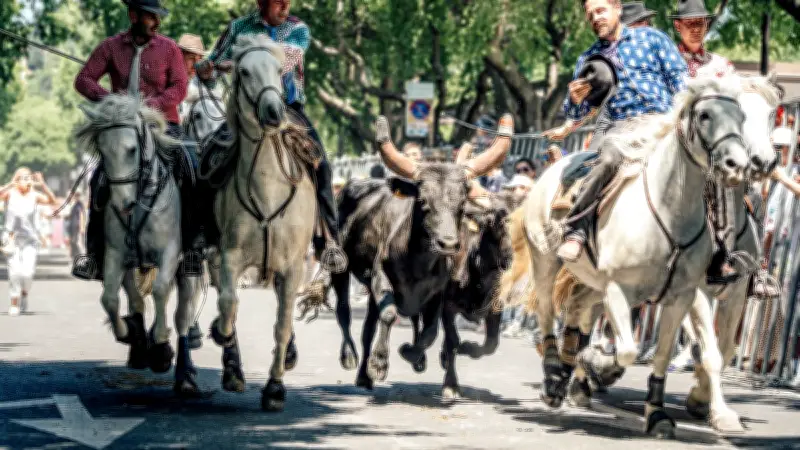 Feria de Nîmes 2026 : l'abrivado de la manade Devaux enflamme les allées Jean-Jaurès