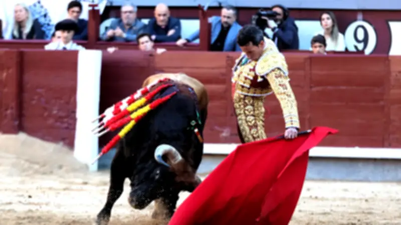 Feria de Nîmes 2026 : l'absence de De Miranda et Hernandez interroge