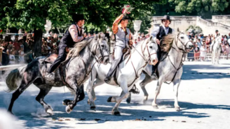 Feria de Nîmes 2026 : l'amour du cheval de Camargue aux Jardins de la Fontaine