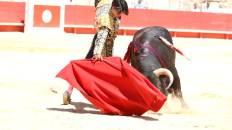 Feria de Nîmes : Clovis remporte la 65e Cape d’Or