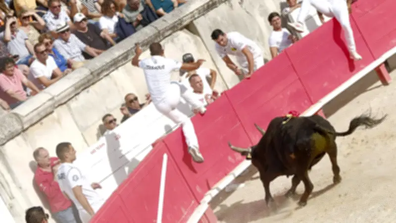 Feria de Nîmes : programme complet du jeudi 21 mai 2026