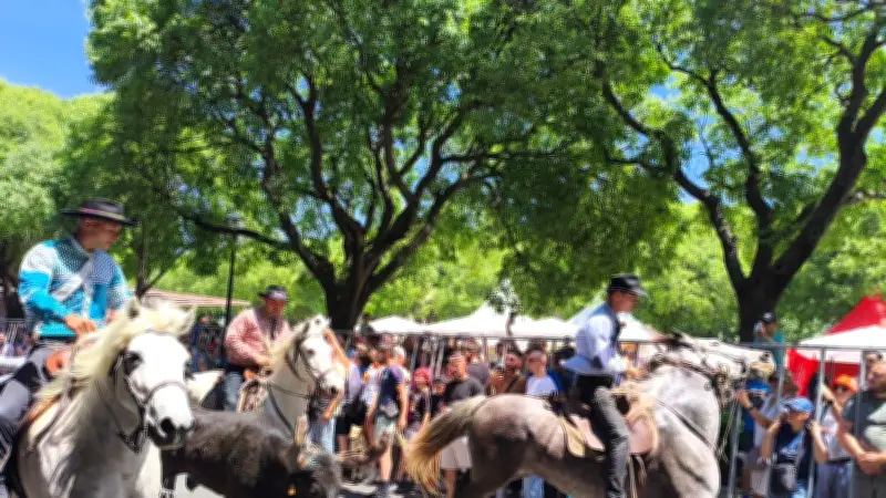 Feria de Pentecôte à Nîmes : l'abrivado de la manade Conti applaudie