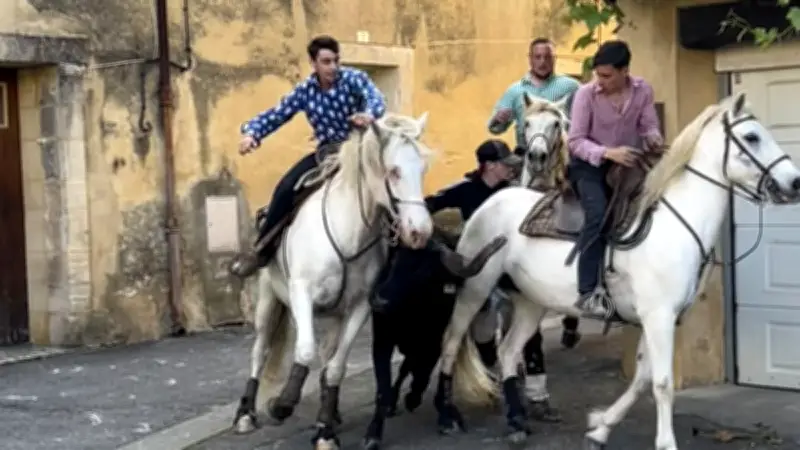 Feria de printemps à Tresques : trois jours de fête et de traditions