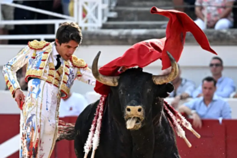 Feria de San Isidro à Madrid : 22 corridas et 5 toreros français au menu