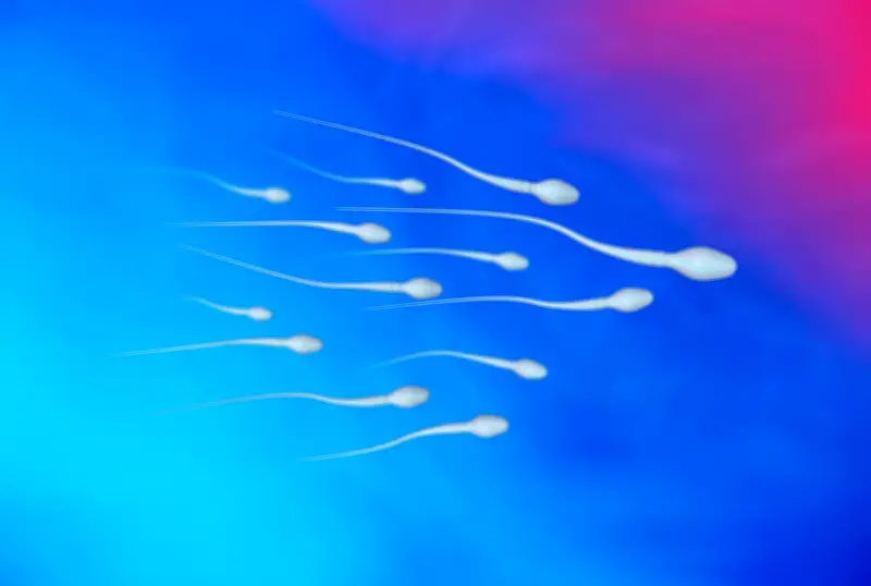 Fertilité masculine : des idées reçues sur les fausses couches