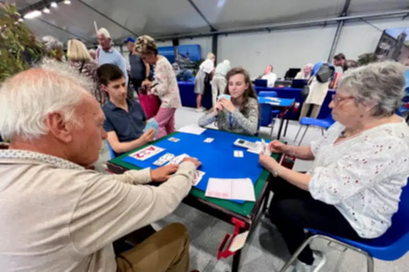 Festival de bridge de Juan-les-Pins : 350 joueurs pour l'édition 2026