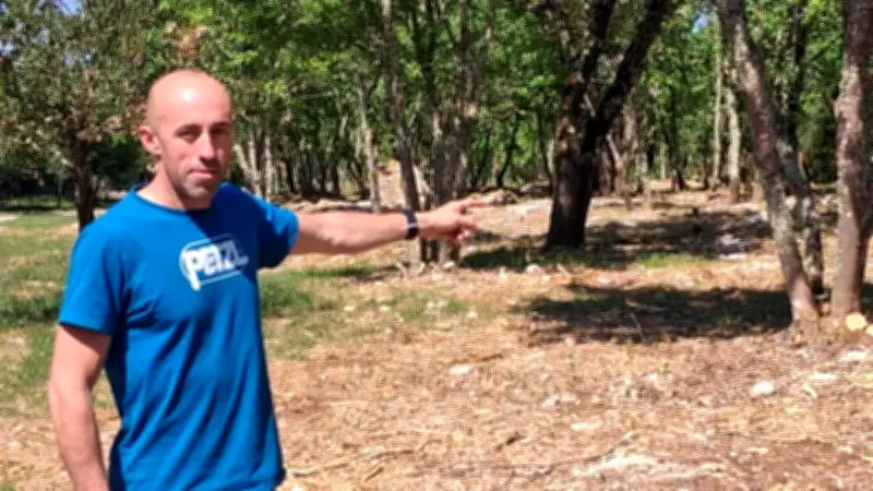 Feux de forêt : Méjannes-le-Clap renforce le débroussaillage obligatoire