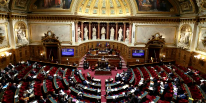 Fin de vie : le Sénat rejette l'aide à mourir mais renforce les soins palliatifs