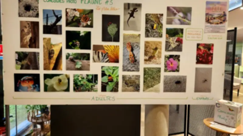 Fl'aune#3 : concours photo amateur sur les p'tites bêtes à Roquemaure