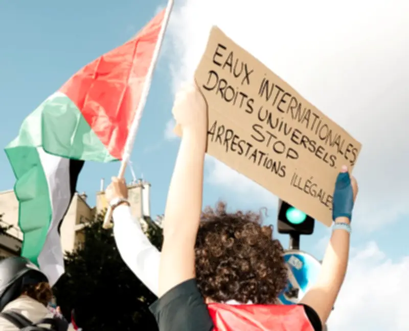 Flottille pour Gaza : les militants rapatriés au plus vite selon l'ambassadeur