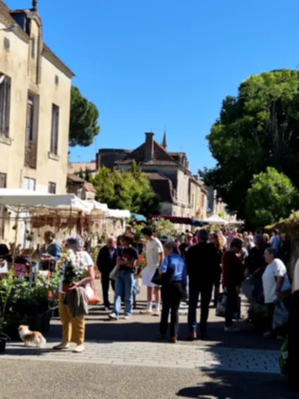 Foire aux fleurs à Monségurais : succès malgré le changement de lieu