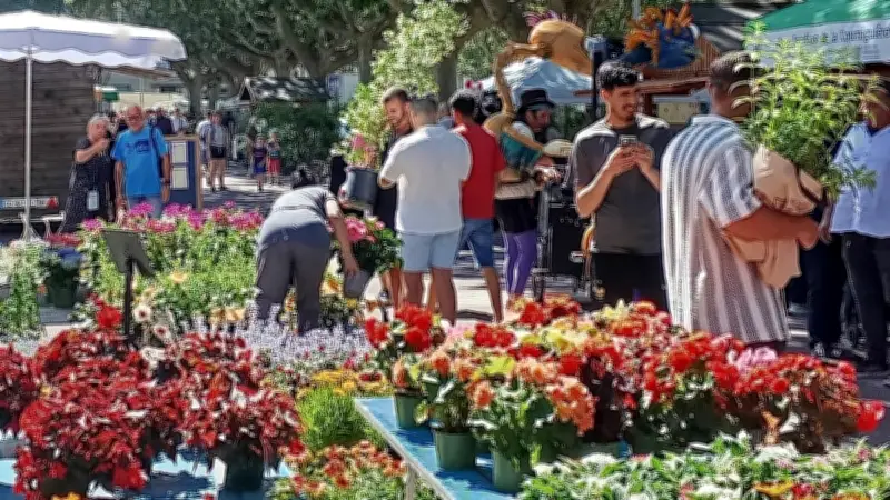 Foire aux fleurs à Tarascon : succès pour l'édition 2026