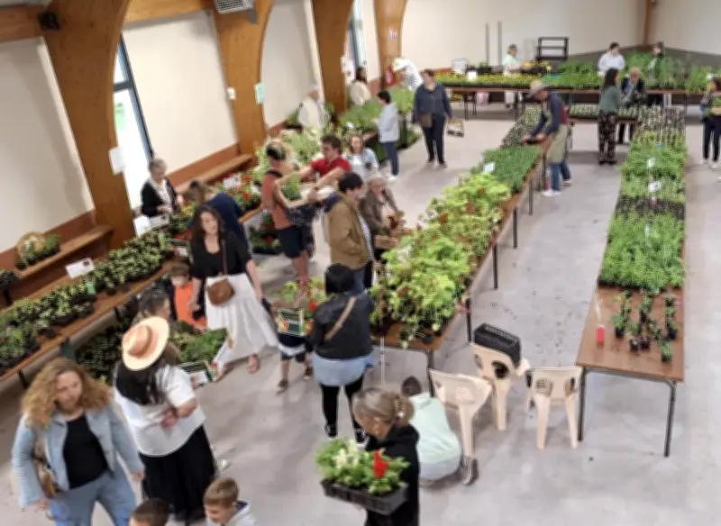 Foire aux plantes à Saint-Paul : enfants et jardiniers locaux à l'honneur