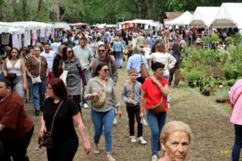 Foire du 1er mai 2026 : un millésime record dans les Landes d'Armagnac