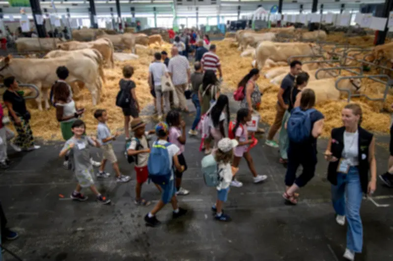 Foire internationale de Bordeaux : animations pour tous ce dimanche 24 mai