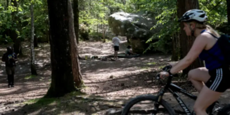 Forêt de Fontainebleau menacée par surfréquentation et parkings saturés