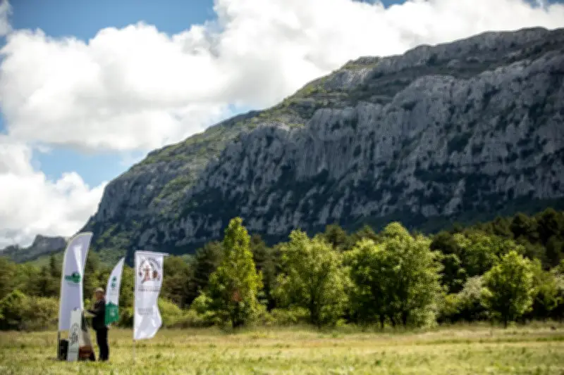 Forêt de la Sainte-Baume : label « Forêt d’exception » renouvelé jusqu’en 2029