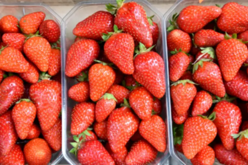 Fraises : un fruit peu calorique, riche en vitamine C et en fibres