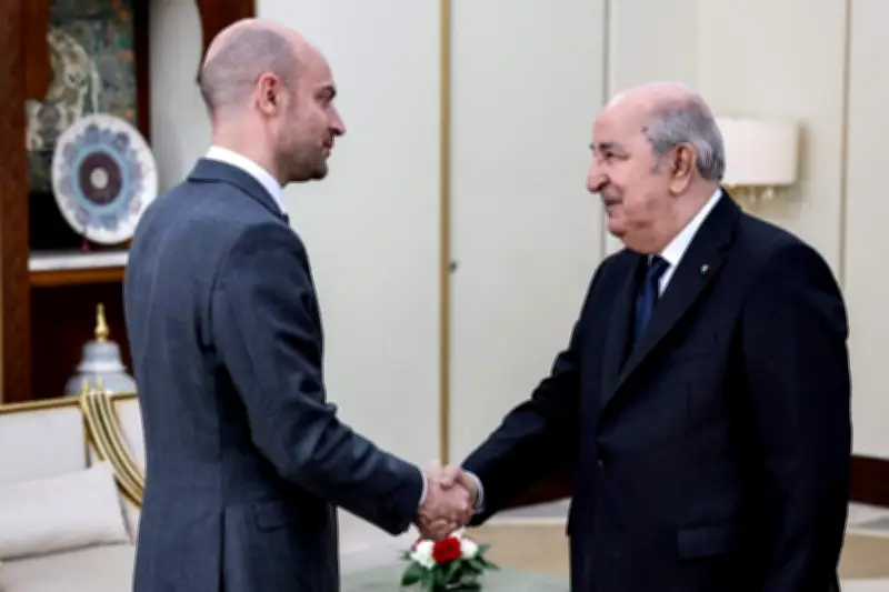 France-Algérie : 8 ans de relations houleuses, de 2017 à l'affaire Amir DZ