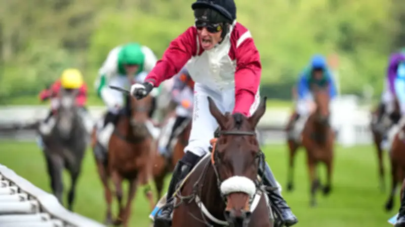 French Lover remporte le quinté à Auteuil avec aisance