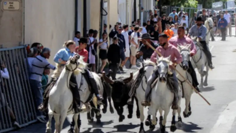 Féria de Pignan : deux jours de fête les 15 et 16 mai