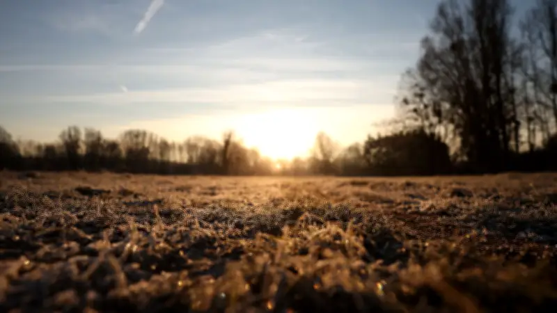 Froid : températures proches de 0°C mardi matin en Île-de-France, risque de gelée