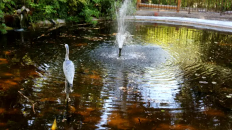 Fête de la nature au parc du Terral : animations et soirée astronomique